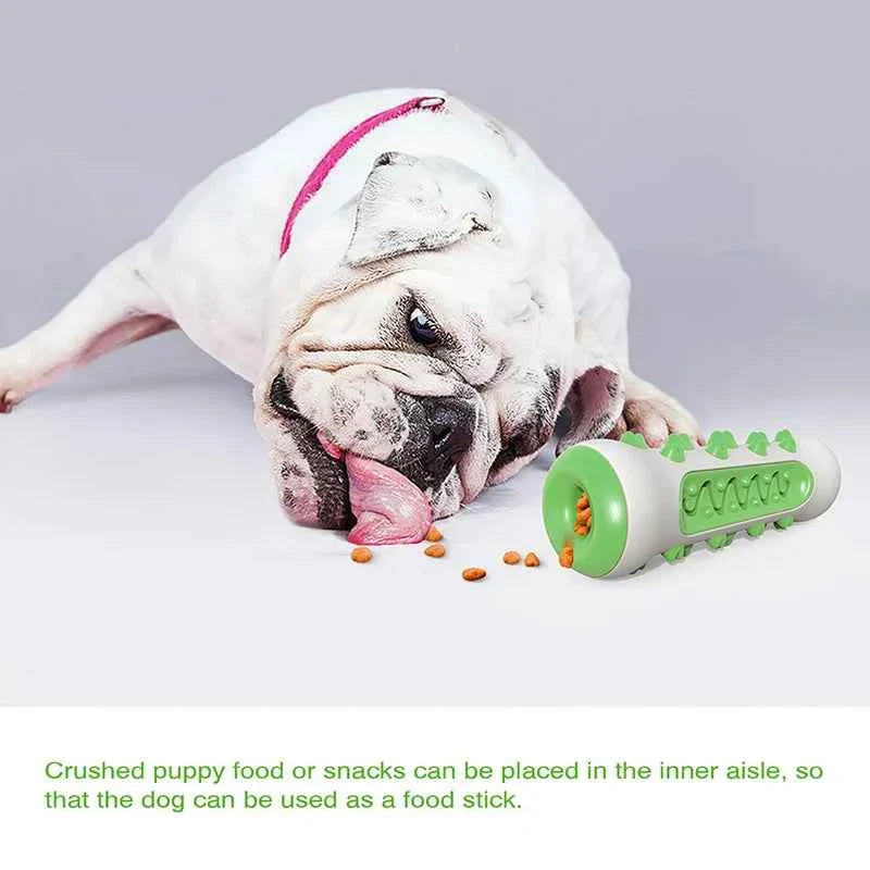 Green-and-white chew-resistant dental dog toy with spiky ridges on top