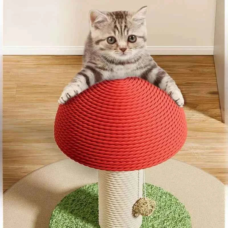 Kitten resting on red mushroom cat scratching board with beige sisal post and green base.