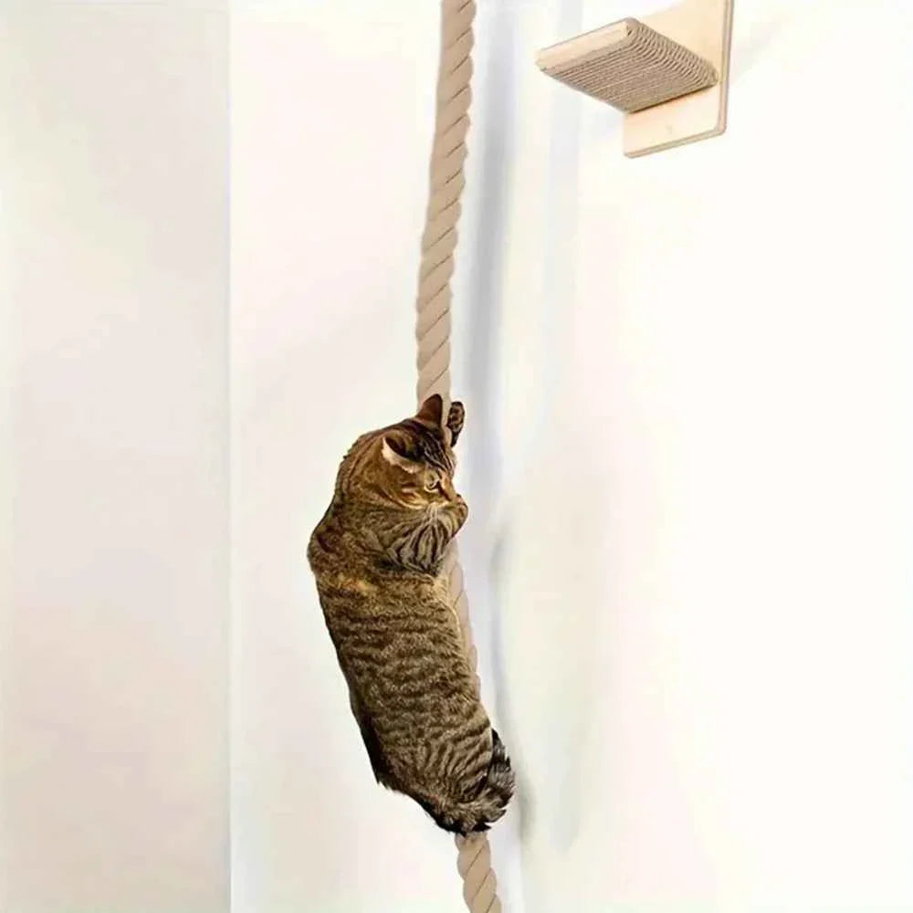 Cat climbing rope toy mounted on wall with sisal rope and a small square wooden scratch pad