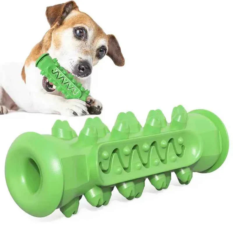 Green and white rubber dental chew toy cylinder with spikes and wavy grip