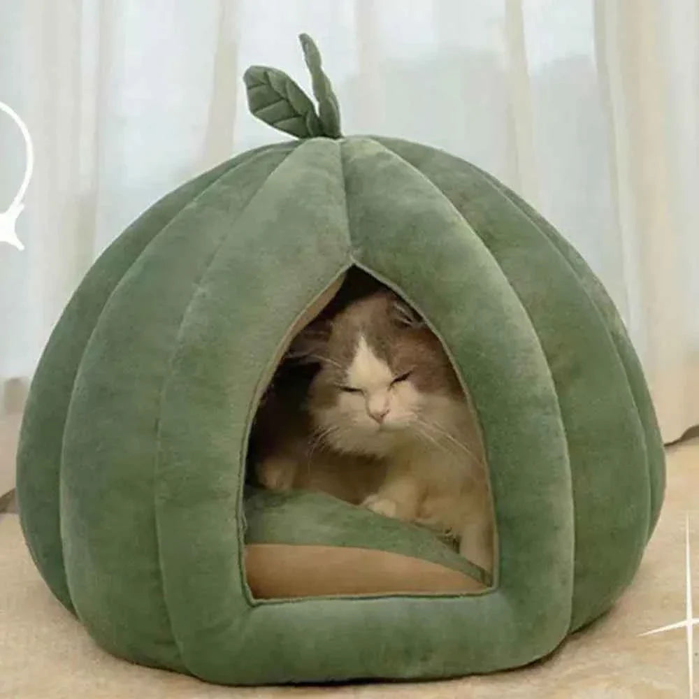 Green pumpkin cat bed with leaf top, cat resting inside the arched entrance