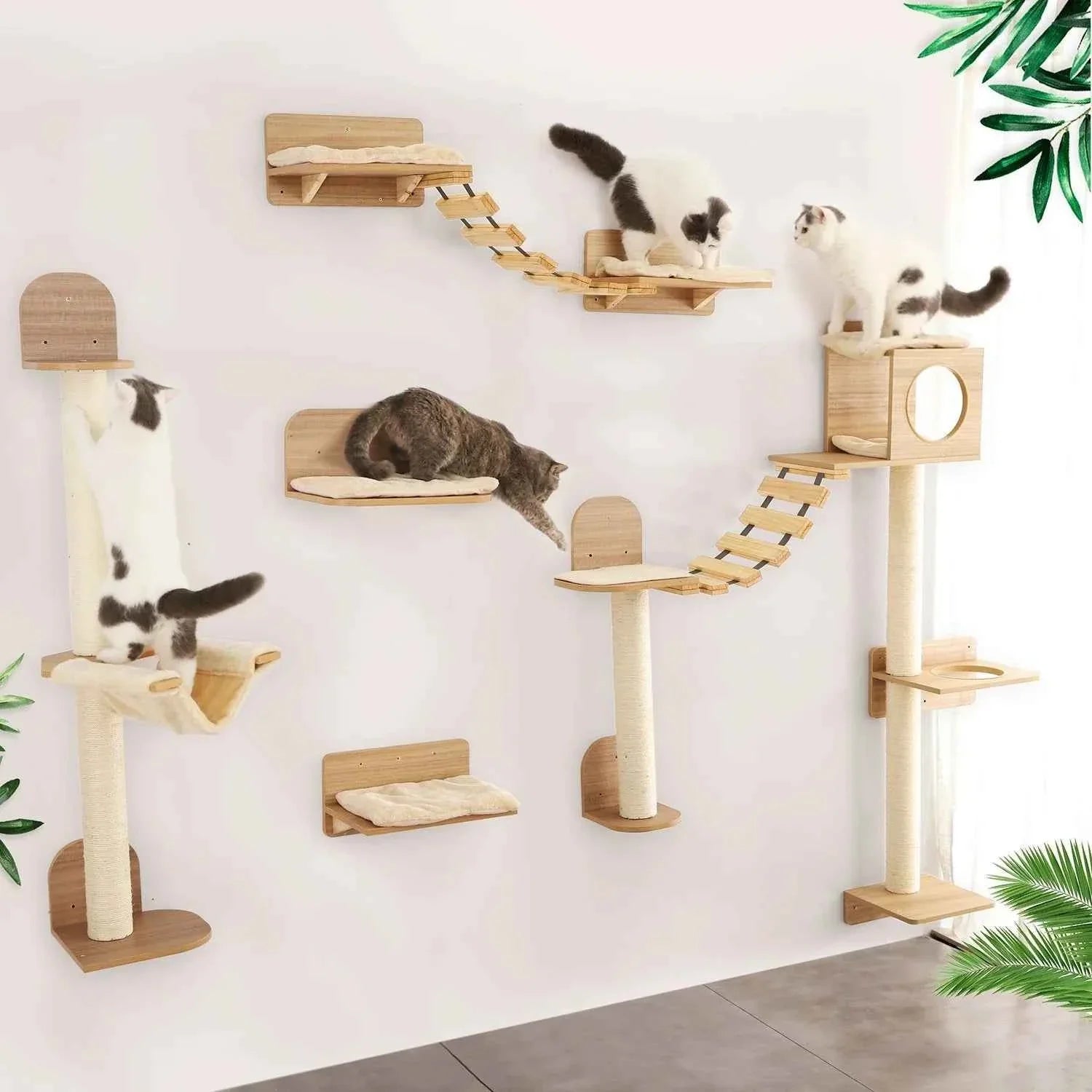 Cat climbing rope wall set with multiple sisal ropes and wooden steps and resting platforms