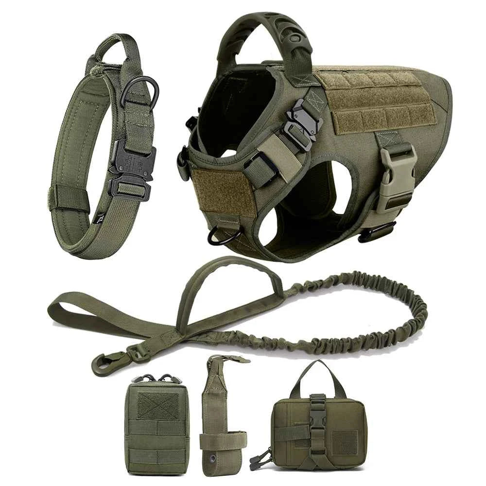 Green no-pull dog harness vest with matching leash for medium to large dogs
