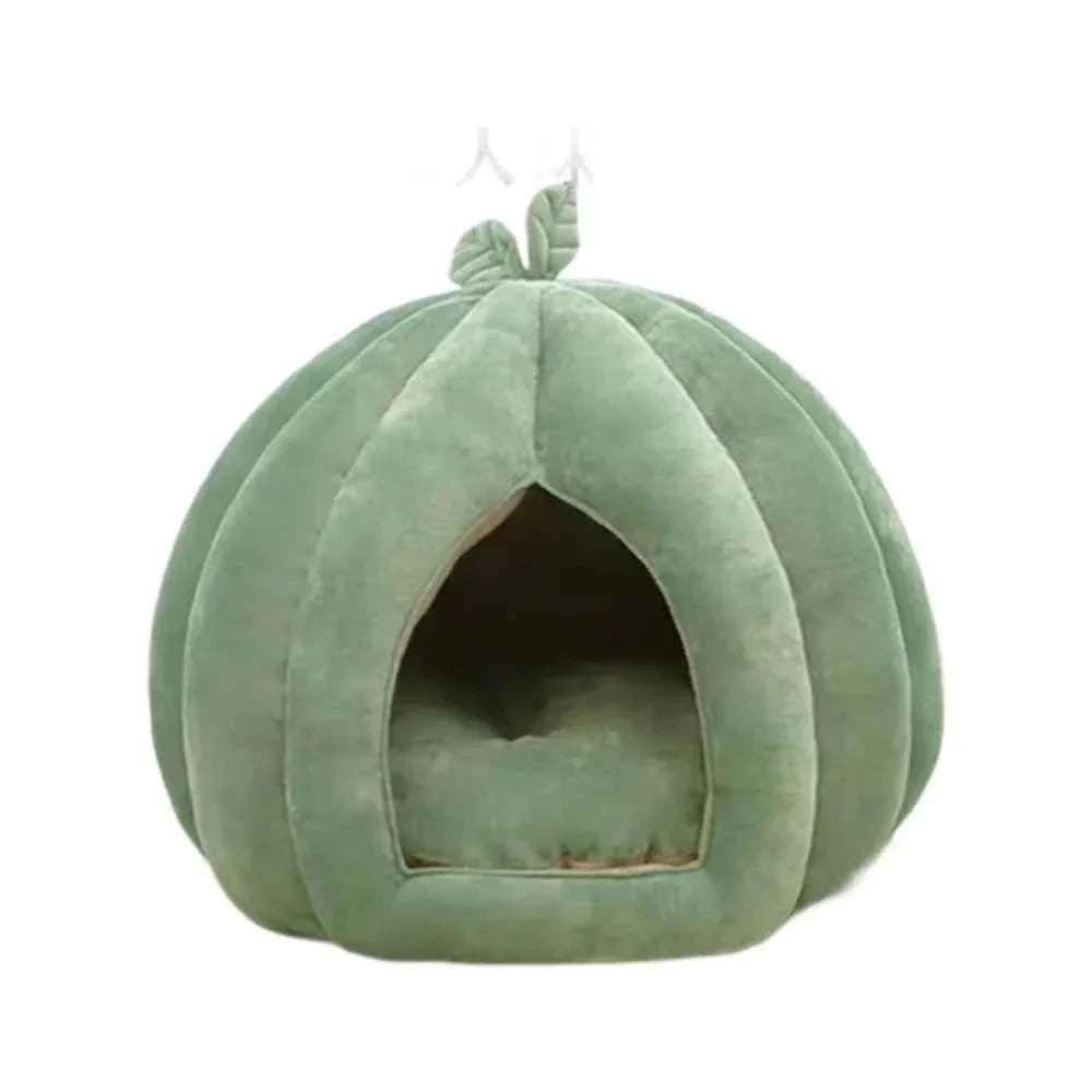 Green pumpkin pet bed with arched tunnel entrance and leaf decoration, empty