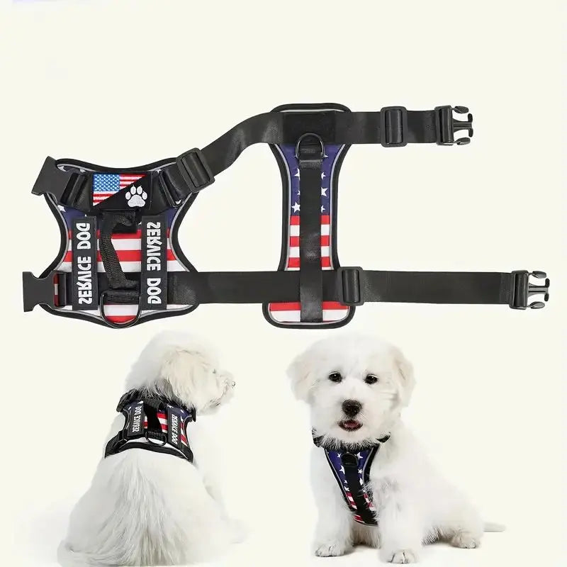 Dog harness and leash set with black vest, star-and-stripe center panel and two side straps