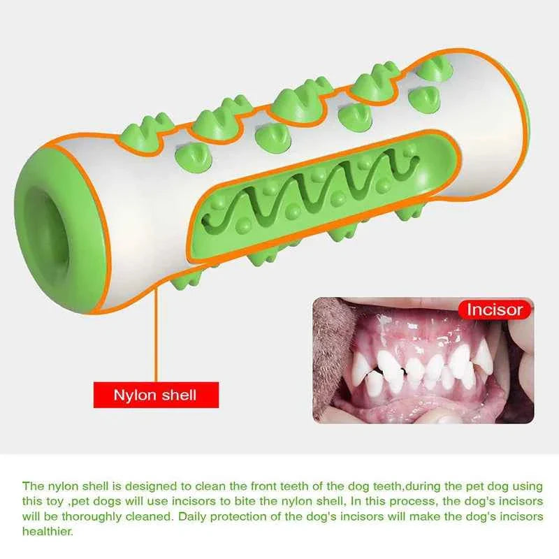 Green-and-white chew toy with raised dental ridges along the center bar