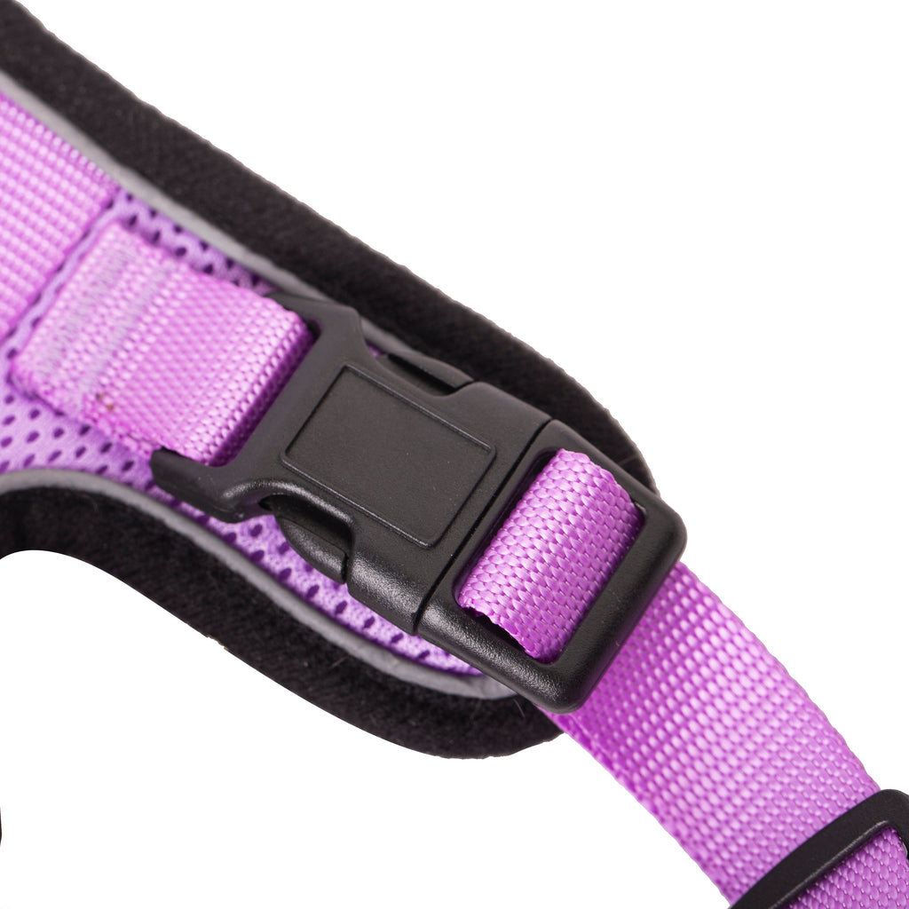 Lilac cat harness buckle and strap detail with black edging