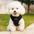 Black soft mesh pet harness on a small dog, logo patch at chest