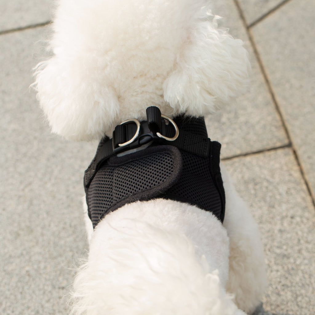 Black mesh dog harness with adjustable straps and metal D-ring on white dog