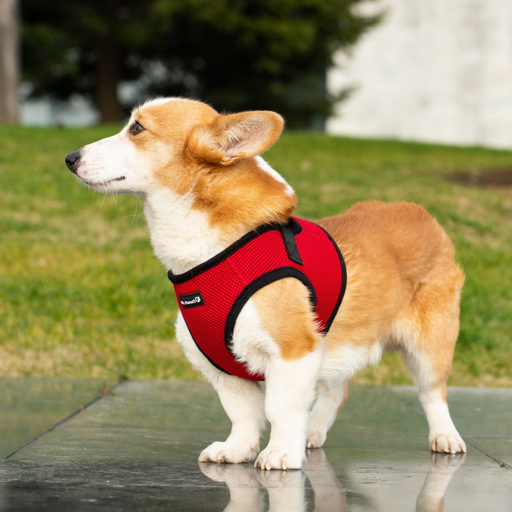 Red soft mesh pet harness with black trim, adjustable straps, breathable choke-free fit