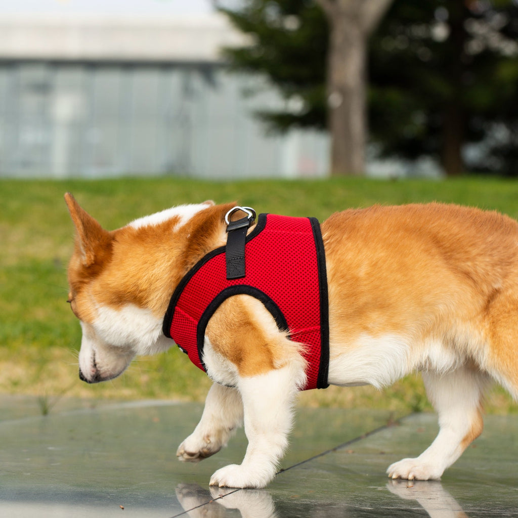 Red soft mesh pet harness with black trim and adjustable neck strap