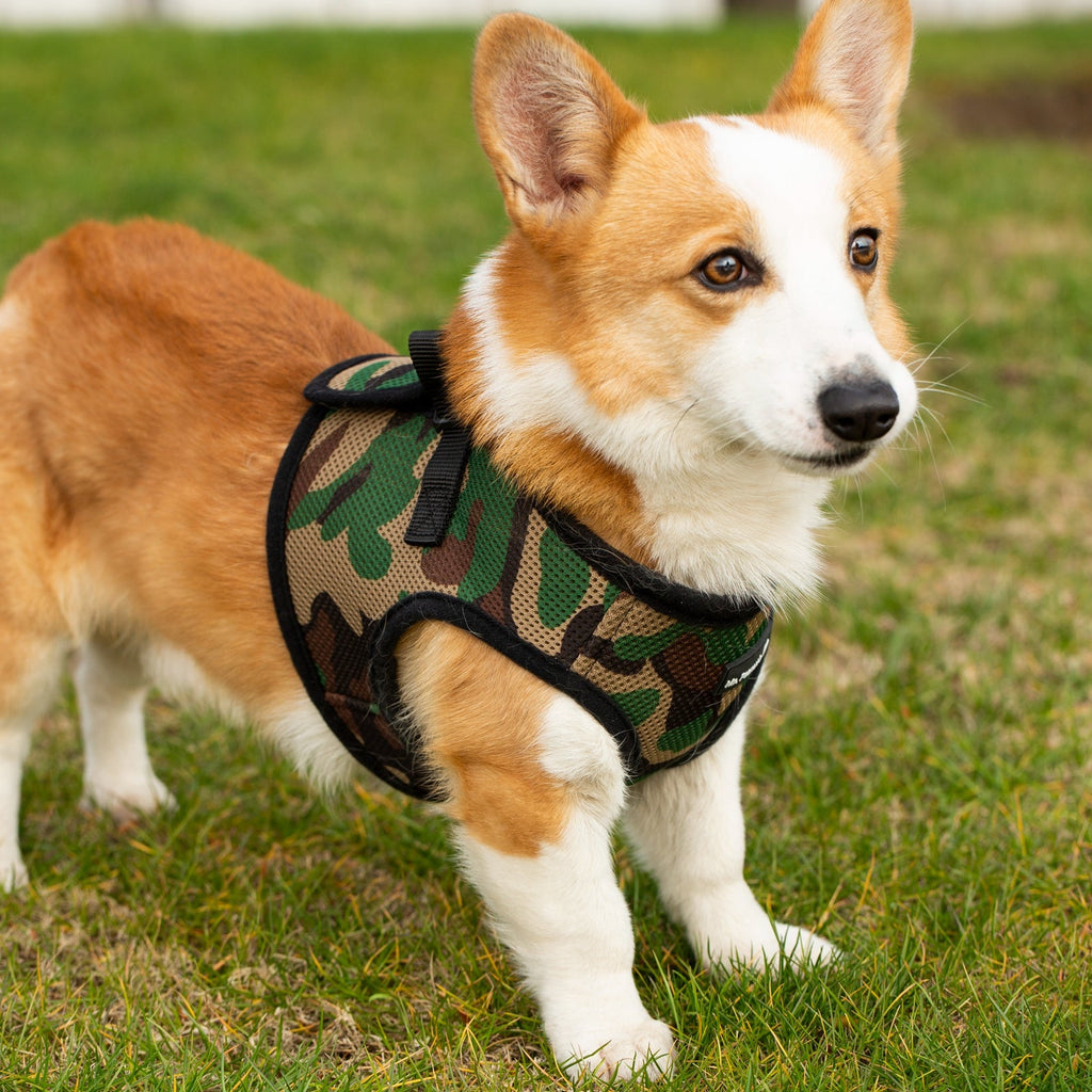 Camo soft mesh pet harness with adjustable fit and padded chest panel