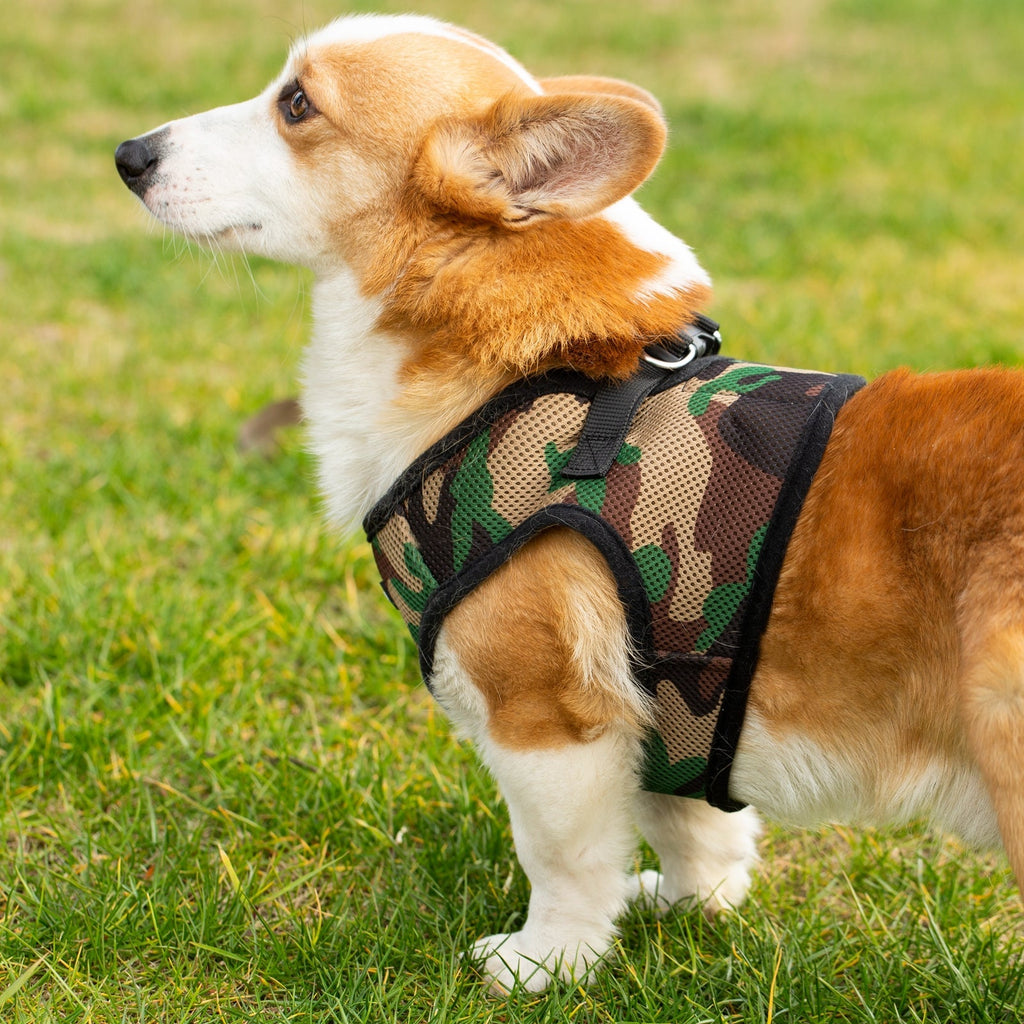 Camouflage soft mesh pet harness with side cutouts and adjustable straps for a secure fit