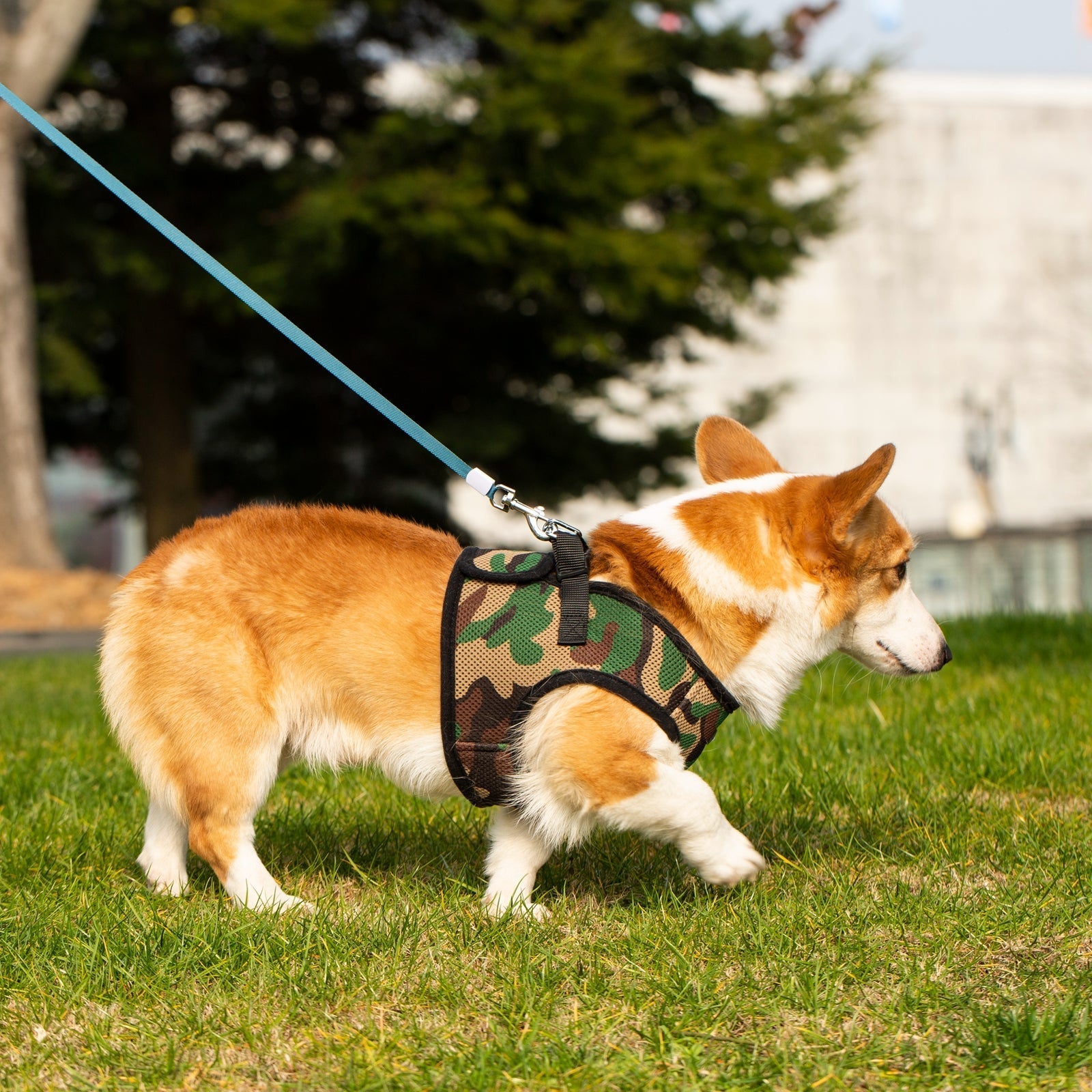 Camo soft mesh pet harness with matching leash attachment and adjustable straps