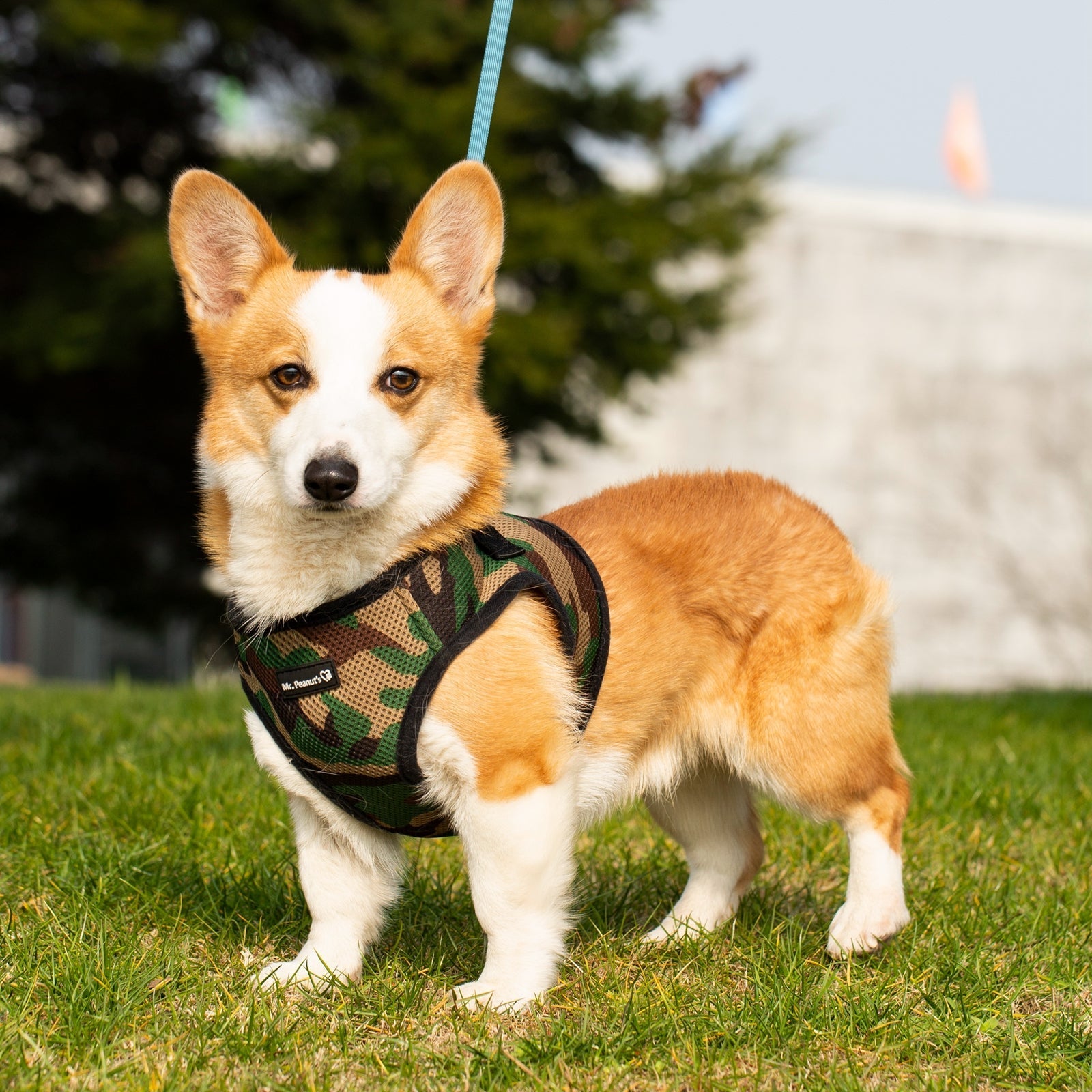 Adjustable soft mesh pet harness with camo pattern and matching leash attachment