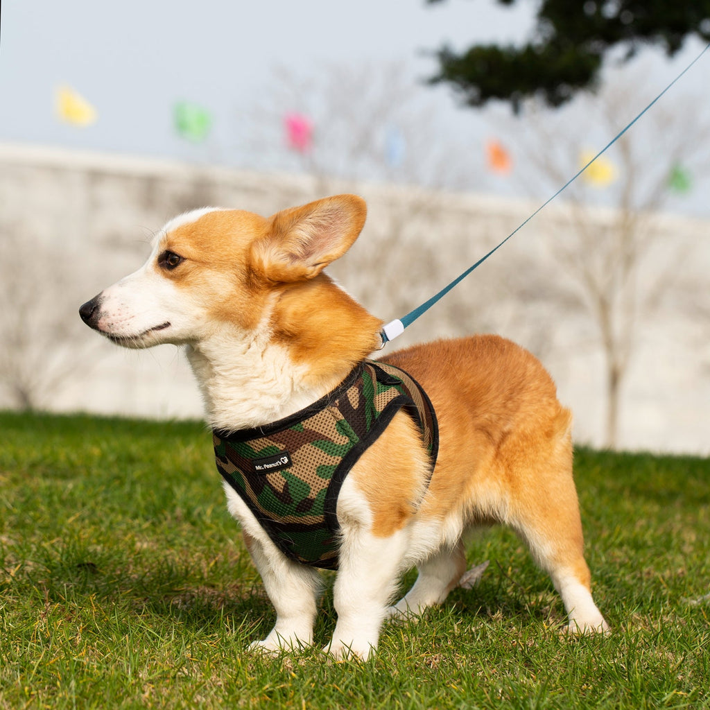 Camo soft mesh pet harness with matching leash and adjustable neck strap