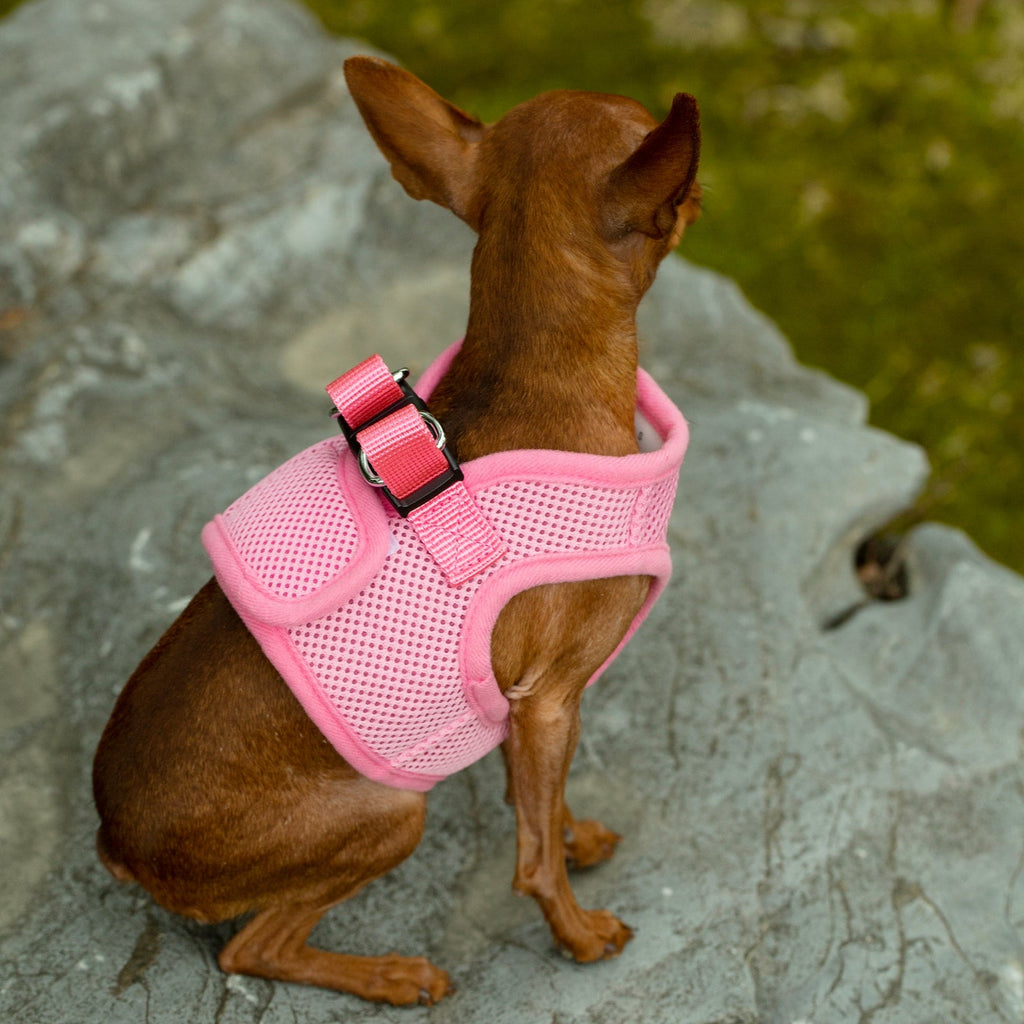 Pink breathable mesh dog harness with black trim and adjustable buckle straps