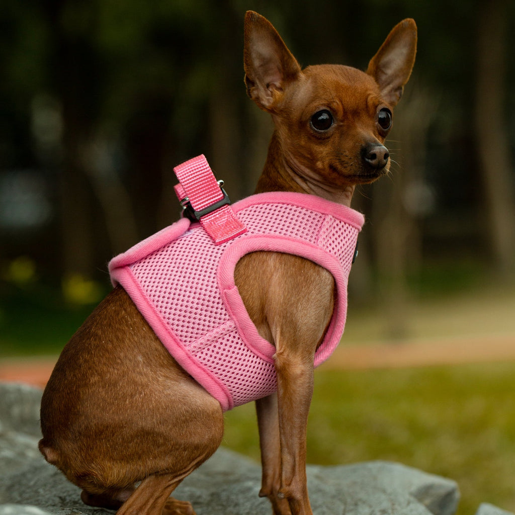 Pink soft mesh pet harness with adjustable neck and chest straps for small dogs