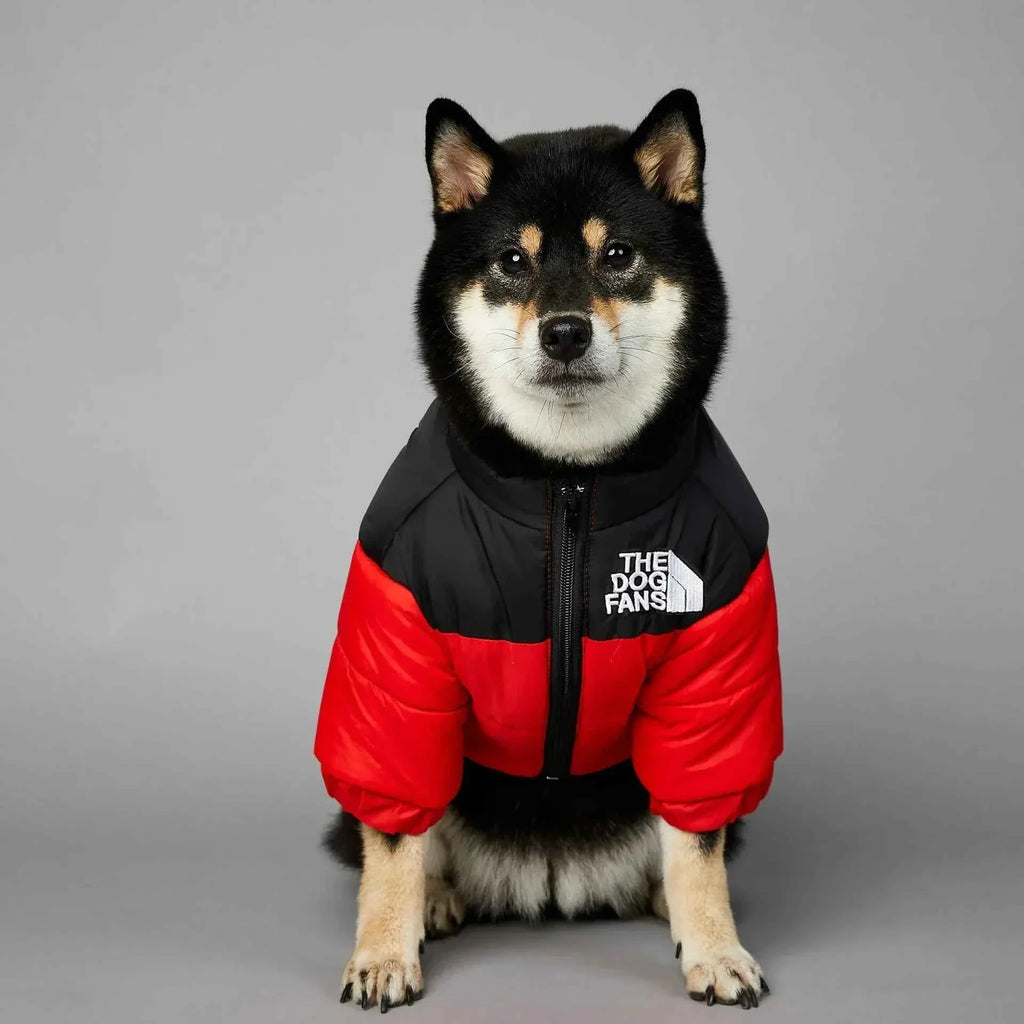 Red & black dog down jacket vest with front zipper, padded, hoodless