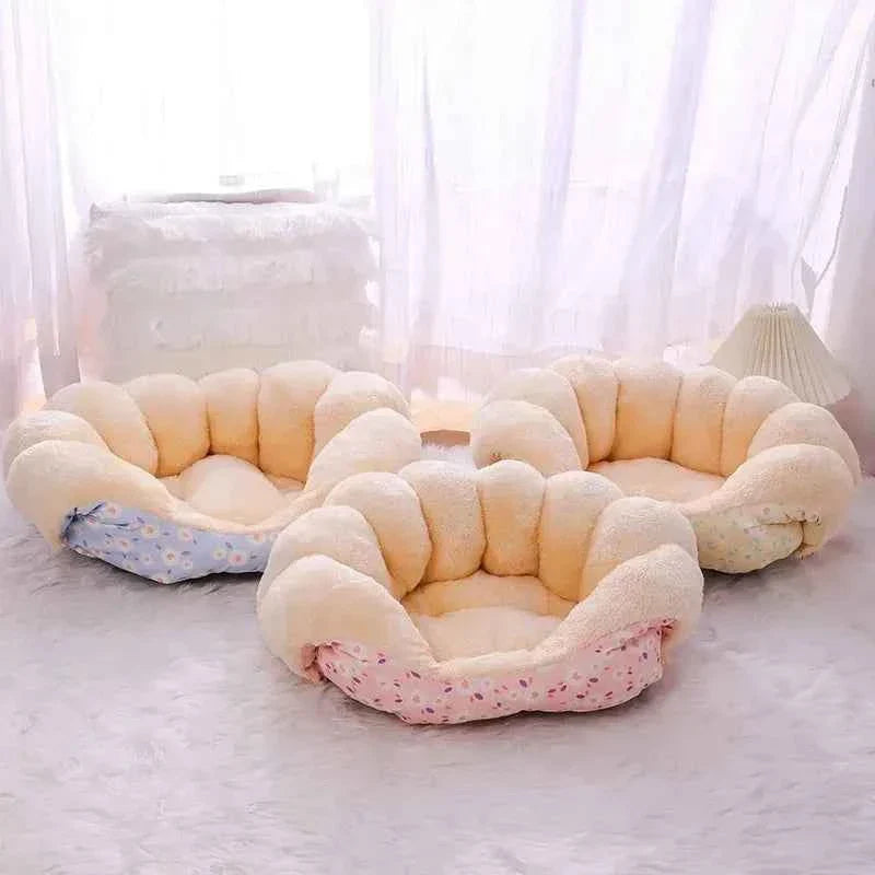 Two cat beds styled side by side: plush oval basket with cushioned backrest