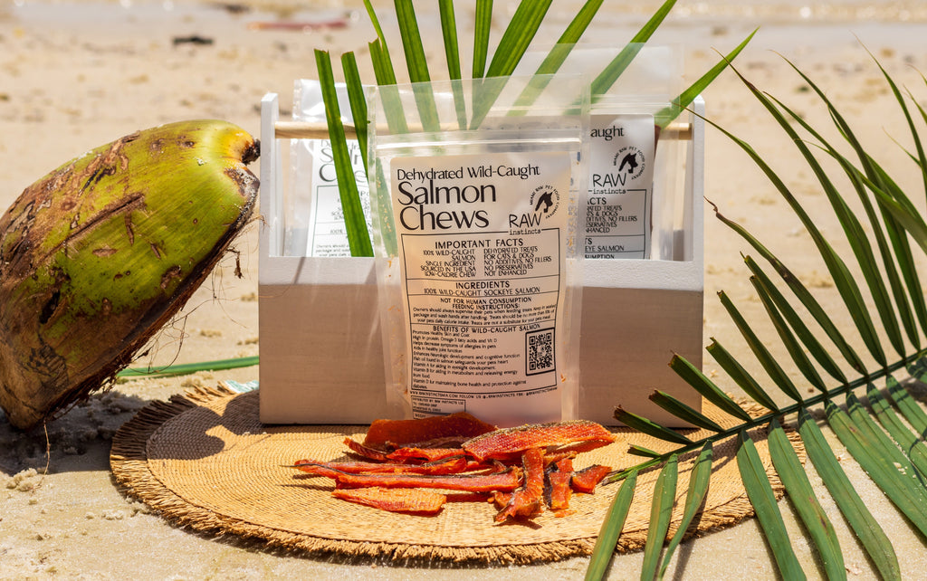 Dehydrated wild-caught salmon chews in plastic pouch with salmon jerky strips