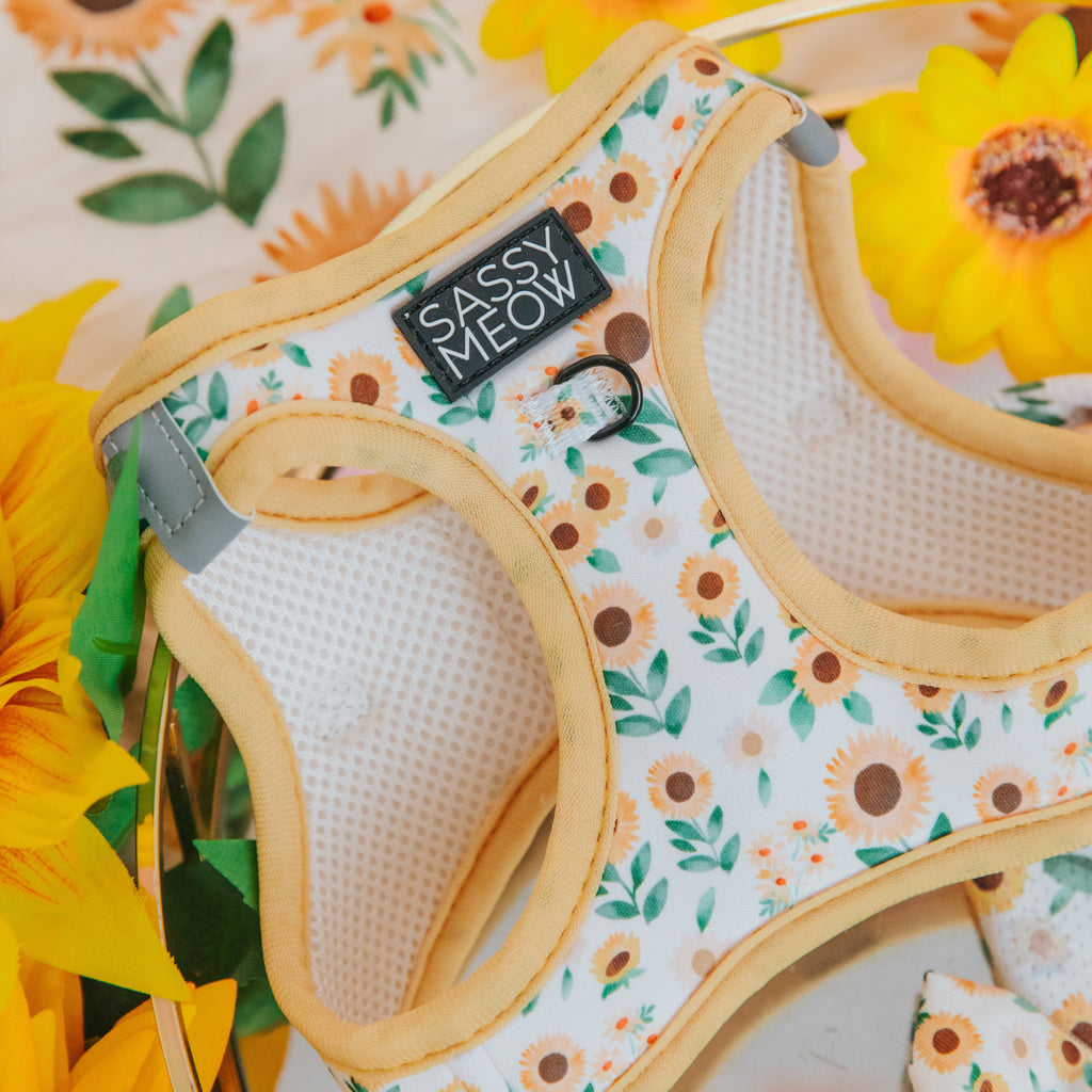 Sunflower cat step-in harness close-up with Sassy Meow patch and metal leash ring