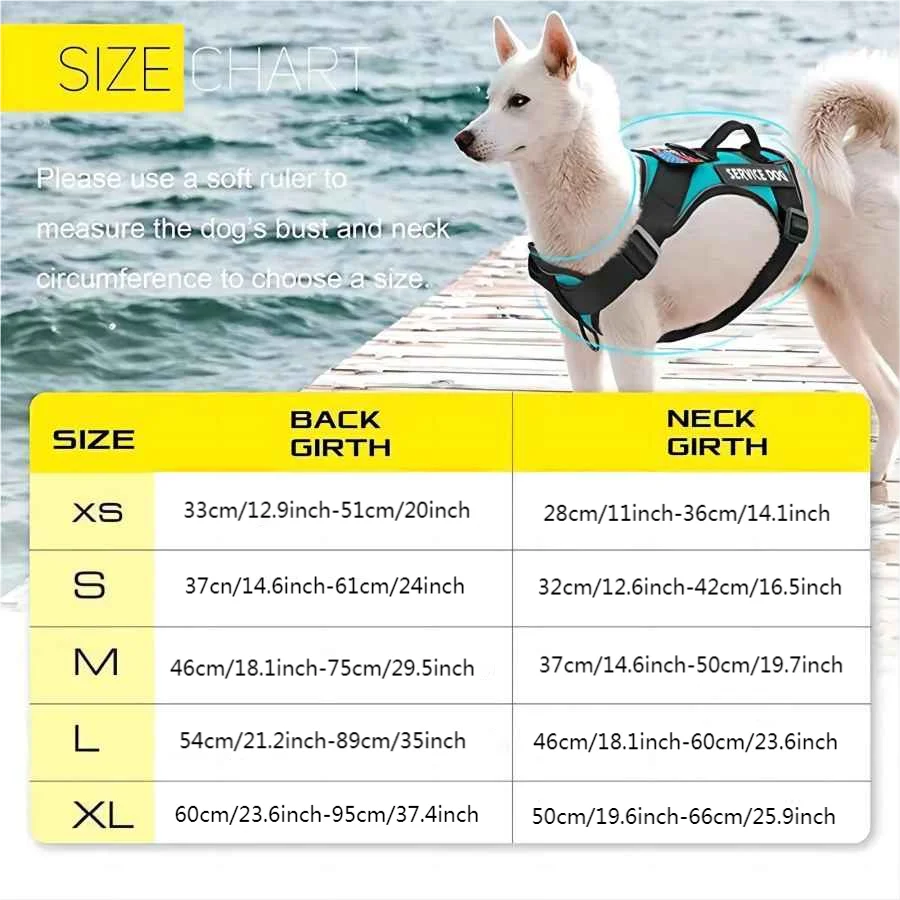 Dog harness and leash set with teal vest, adjustable straps and size guide graphic