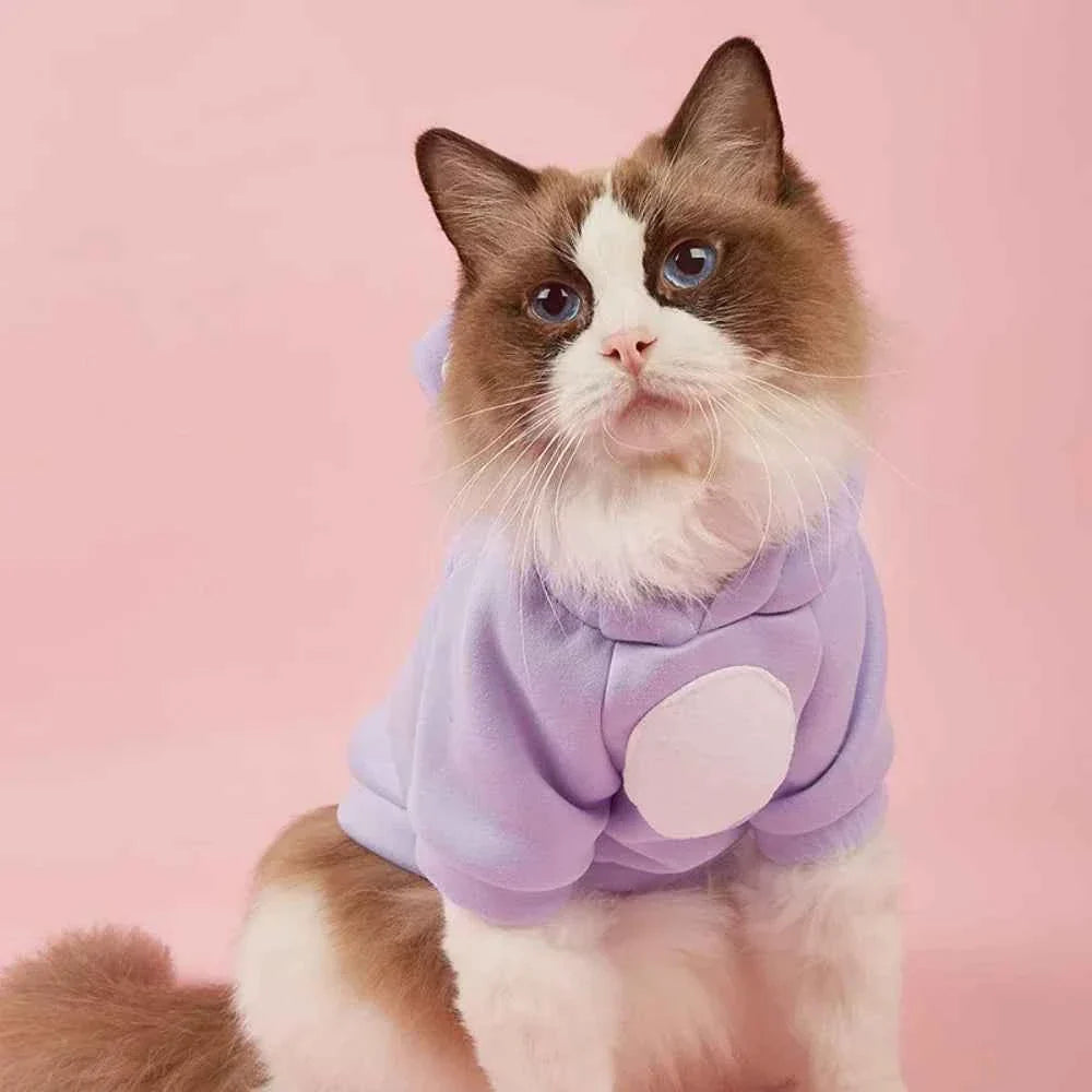 Cat wearing lavender hoodie with hood and white oval nose patch