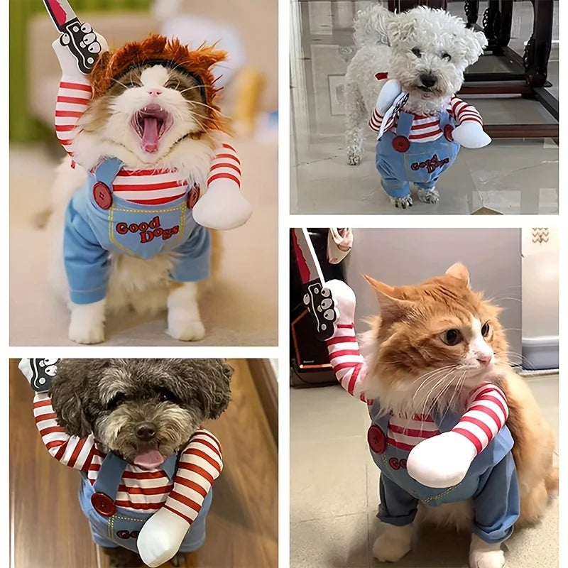 Pet Halloween costume worn on pets: orange wig, red striped sleeves, blue overalls.