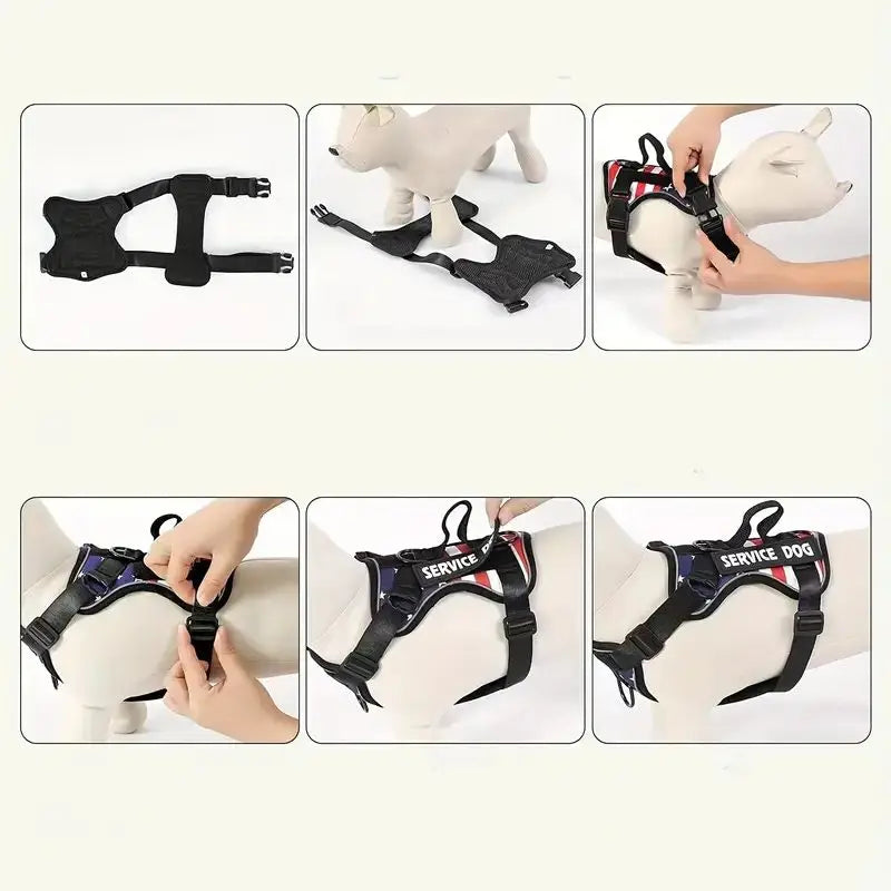 Dog harness and leash set with black vest, red-blue patch and adjustable fastening straps