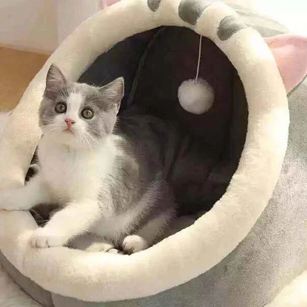 Cream-rimmed semi-enclosed cat bed with dark interior; British Shorthair lying inside