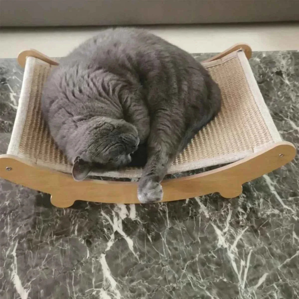 Gray cat curled on curved wooden cat lounge with beige sisal scratch panel