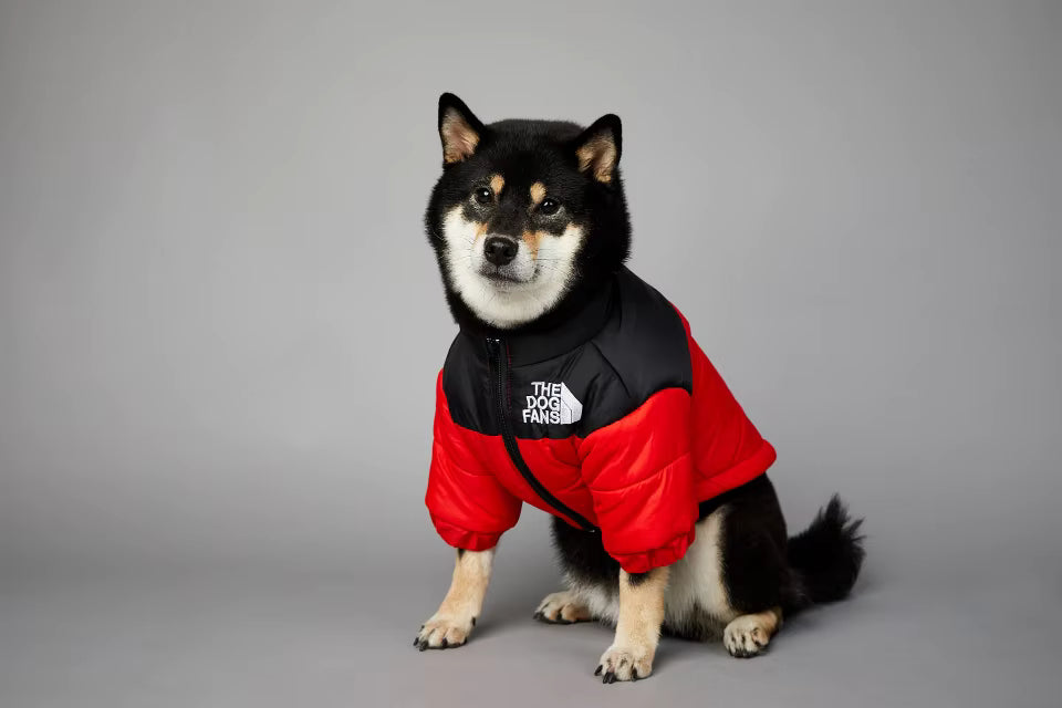 Red & black dog down jacket vest with front zipper and high collar, standing pose