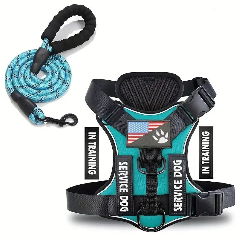Teal-trim dog vest harness with padded mesh chest and coiled teal leash rope