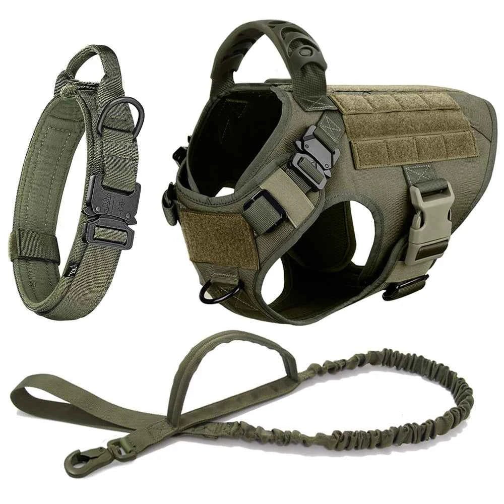 Green tactical no-pull dog harness vest with matching leash and D-ring clips