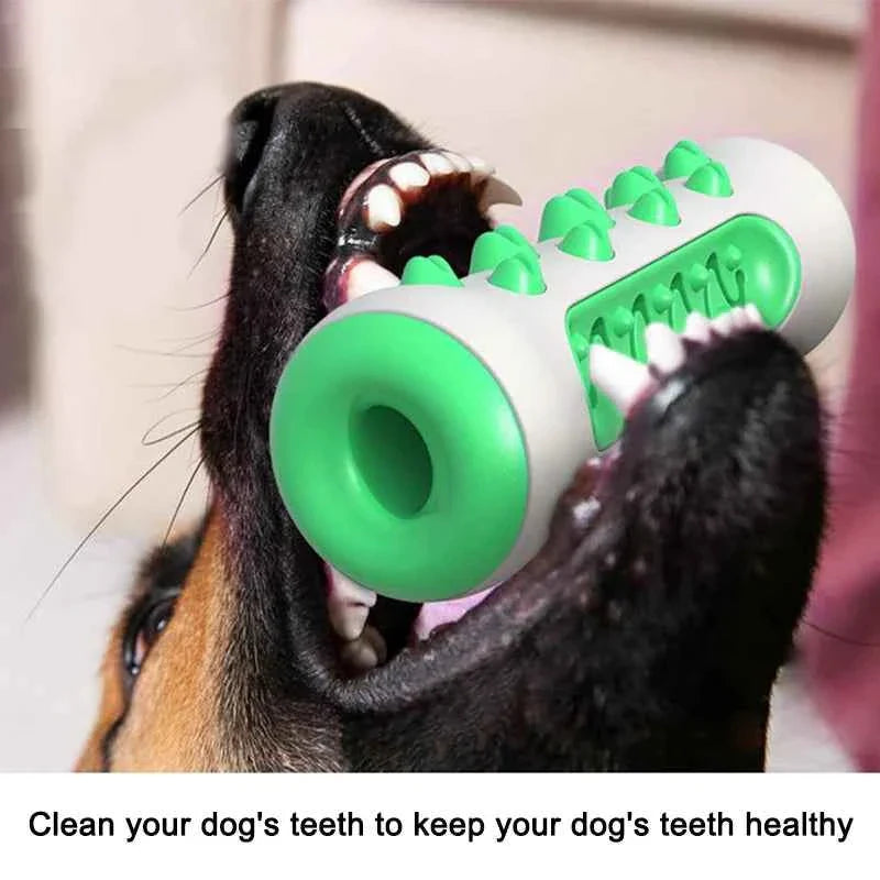Dog biting a green-and-white chew-resistant rubber dental toy with raised ridges