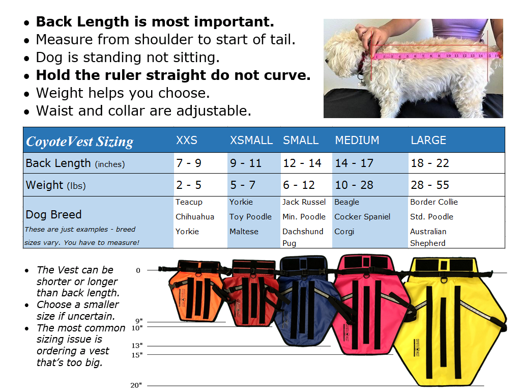 Dog spike vest sizing chart with back-length, weight, and adjustable waist/collar guidance