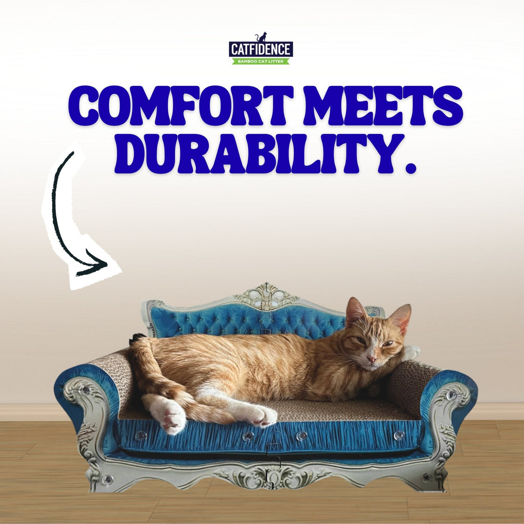 Blue cat scratcher sofa with gray scratching armrests, ornate silver feet, cat lounging