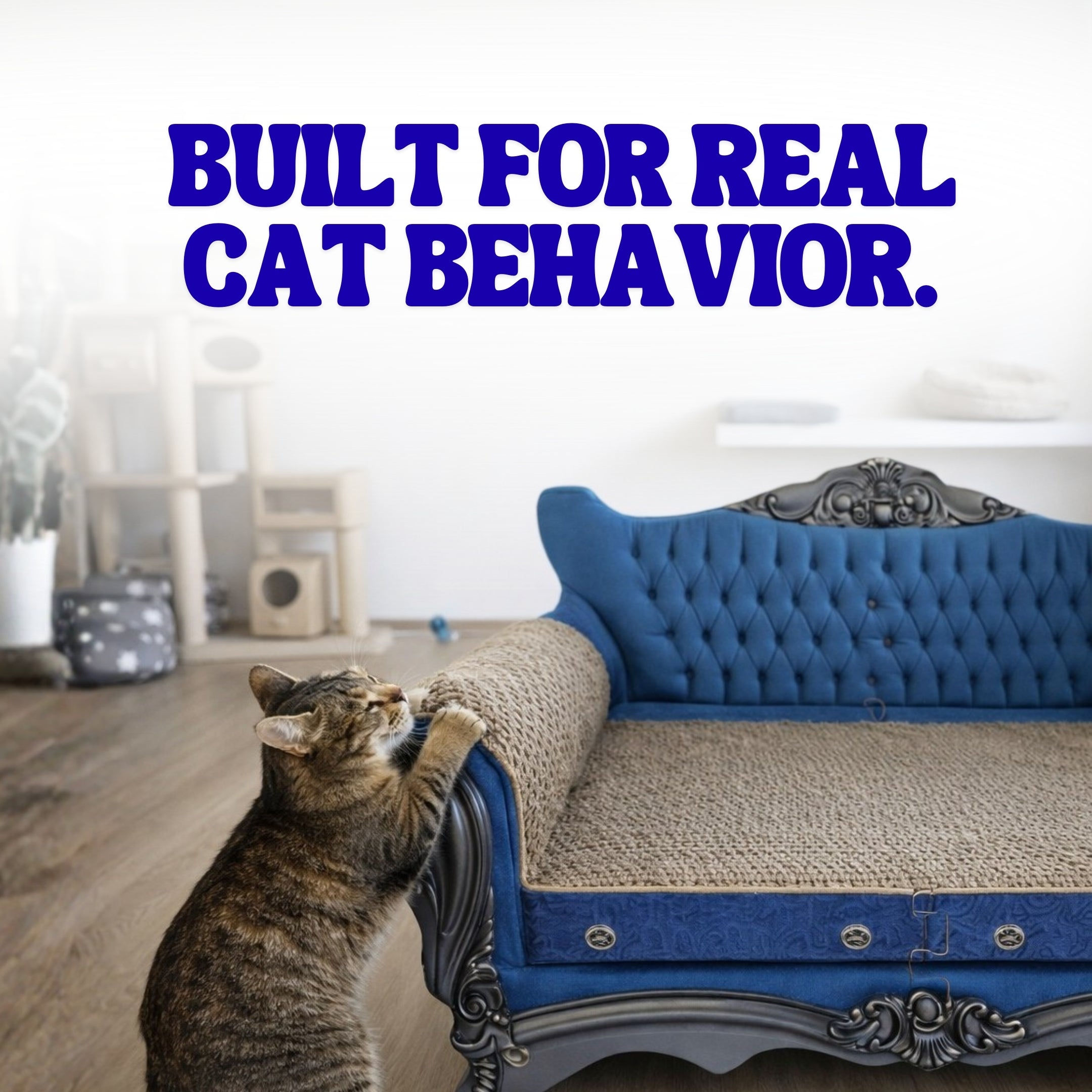 Blue tufted cat scratcher sofa with gray scratching side post and ornate silver frame