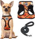 Step-in dog harness and leash set with orange Halloween pattern and reflective trim