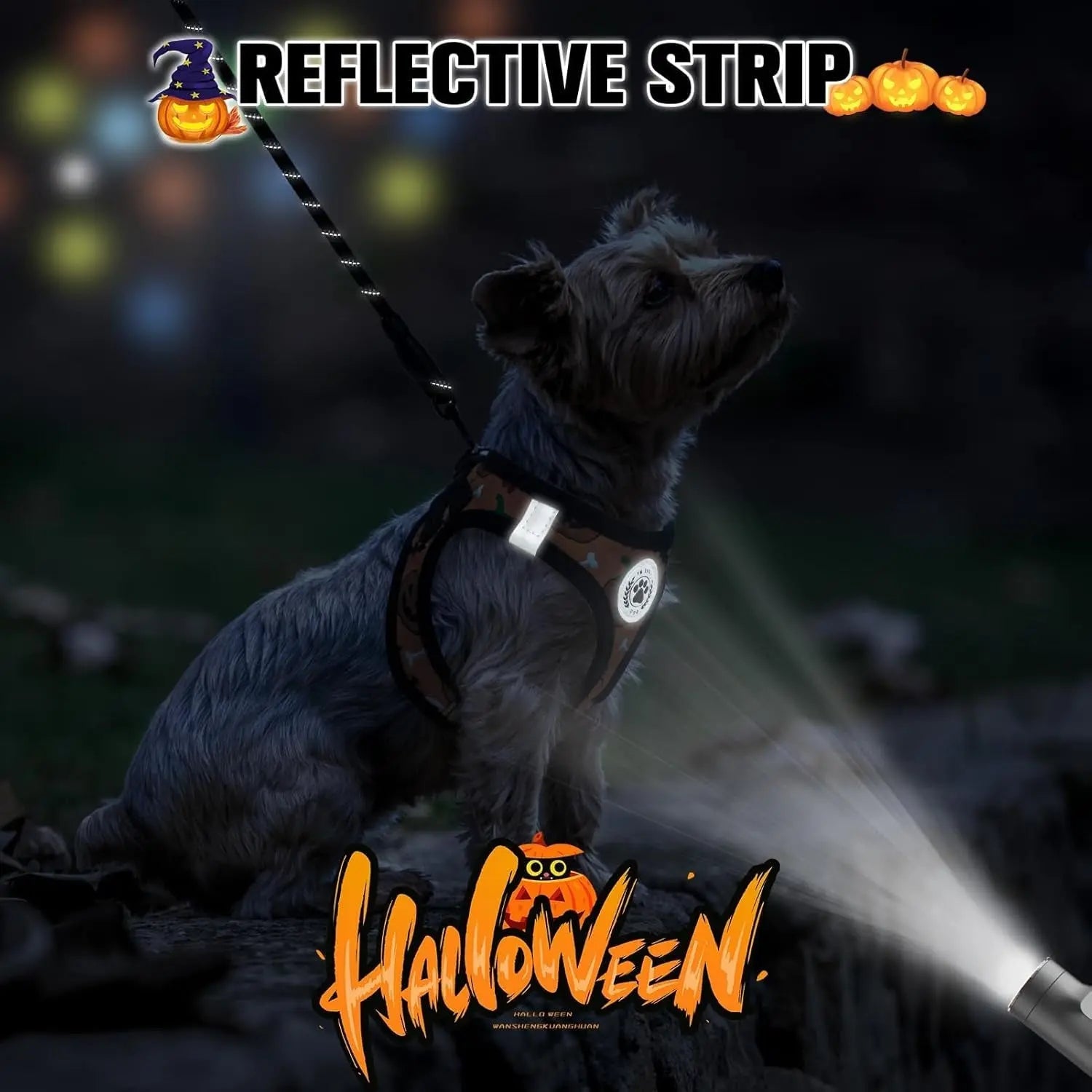 Halloween step-in dog harness and leash set with reflective strip, black-and-orange pattern
