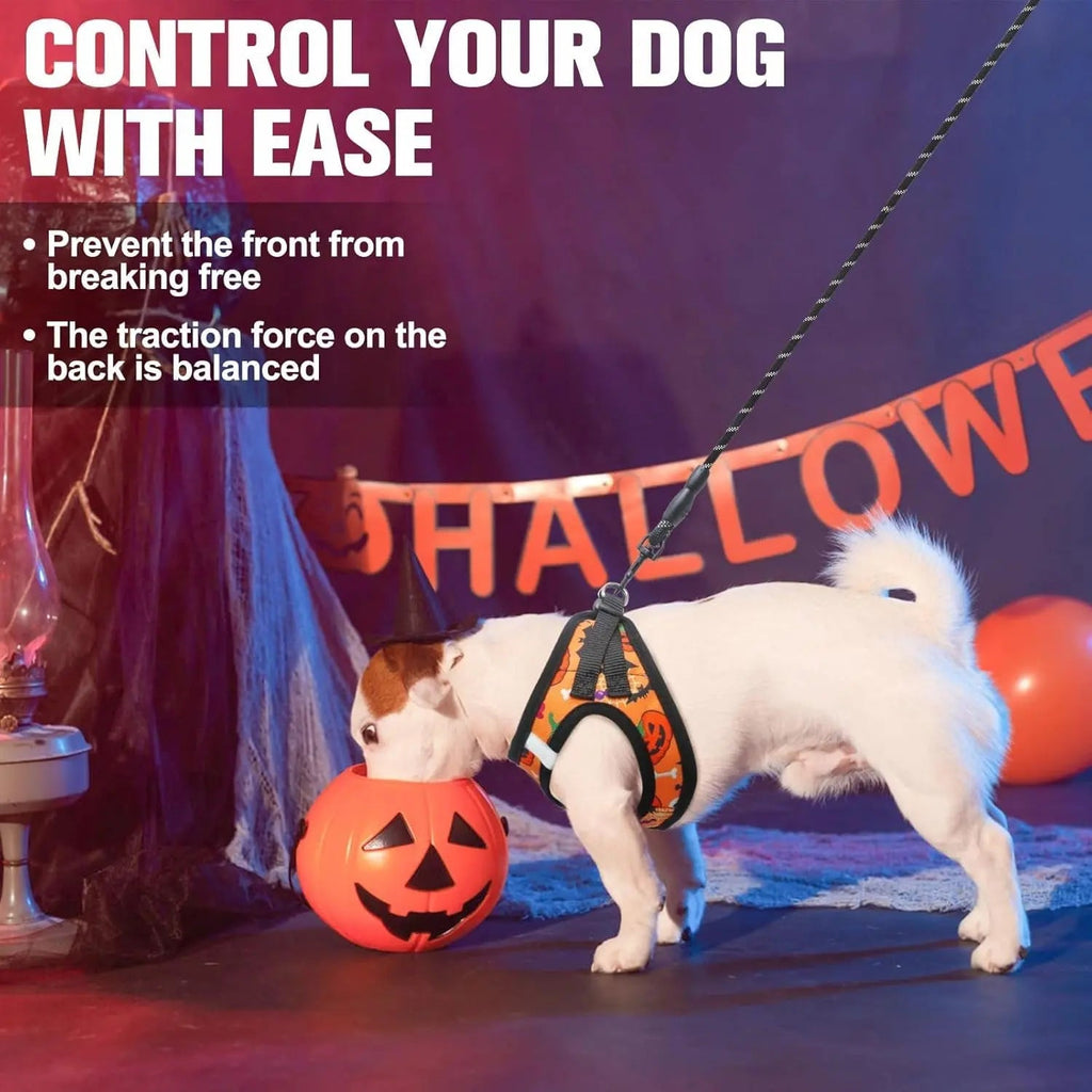 Halloween dog harness and leash set with front step-in design and reflective trim