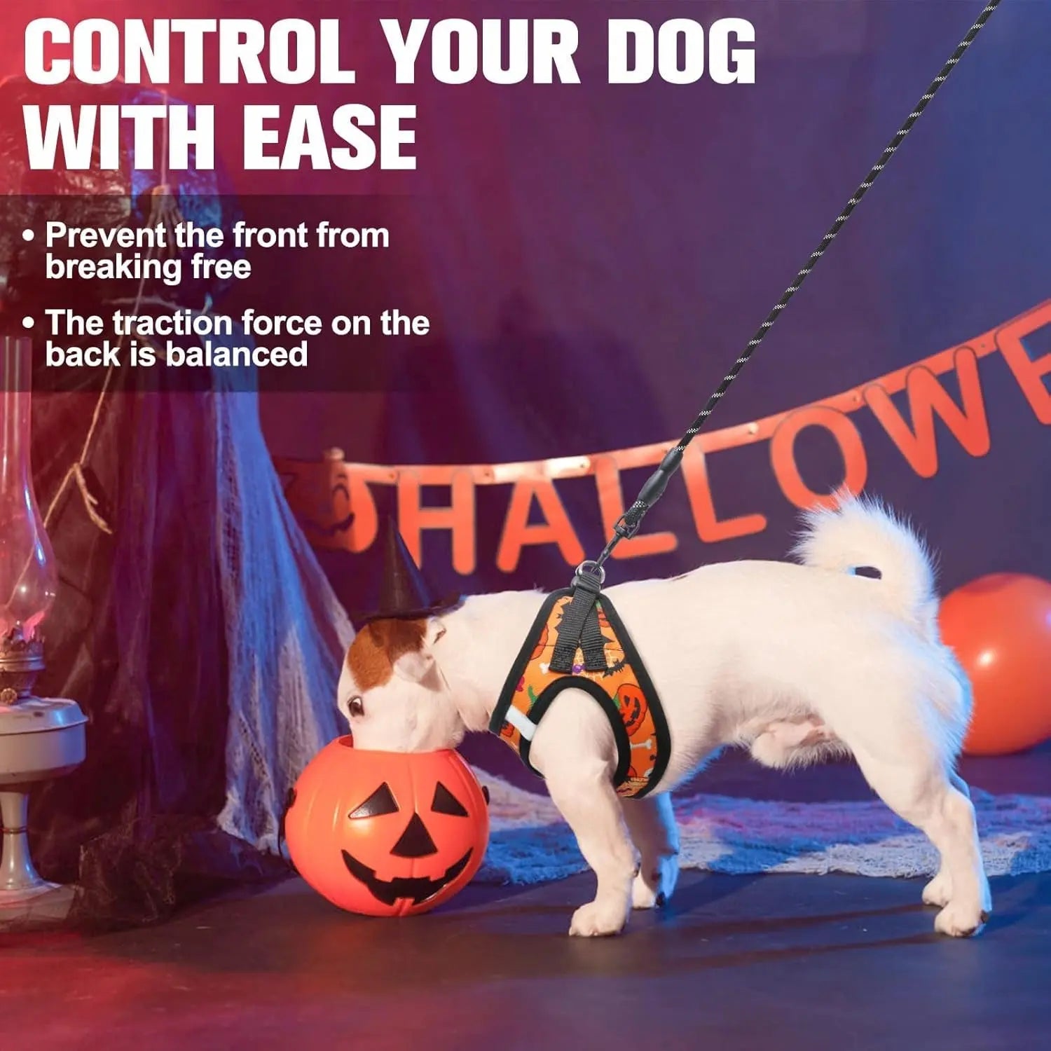 Halloween dog harness and leash set with front step-in design and reflective trim