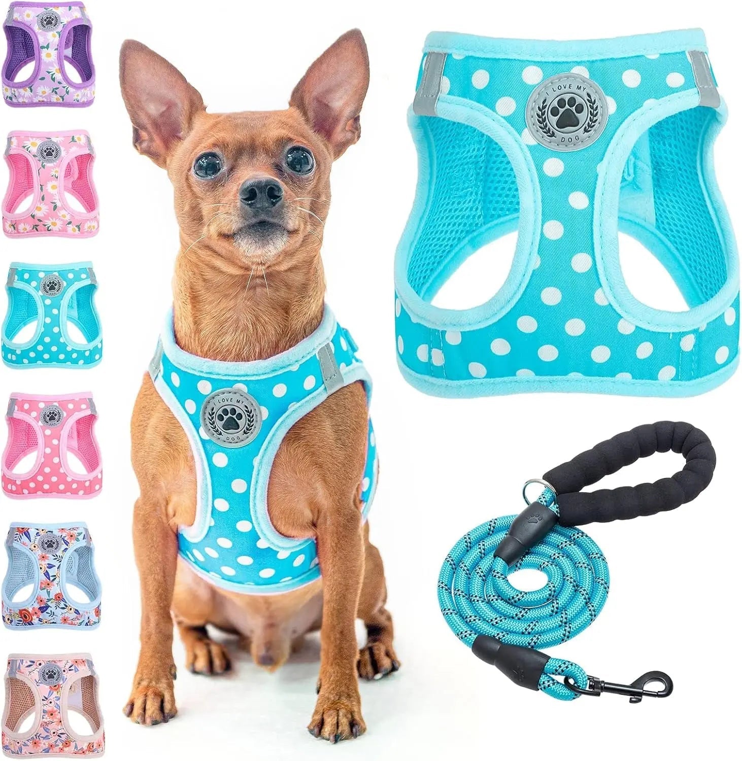 Turquoise polka-dot dog step-in harness with paw badge and matching leash