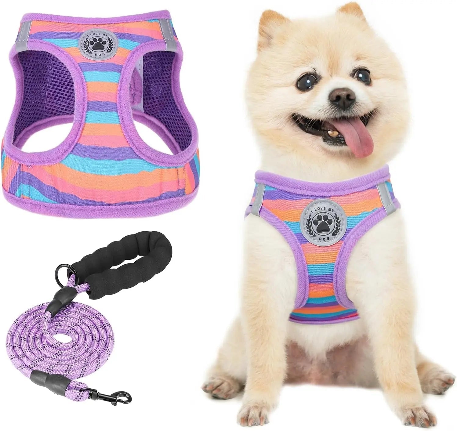 Purple rainbow-striped dog step-in harness with paw badge and purple rope leash
