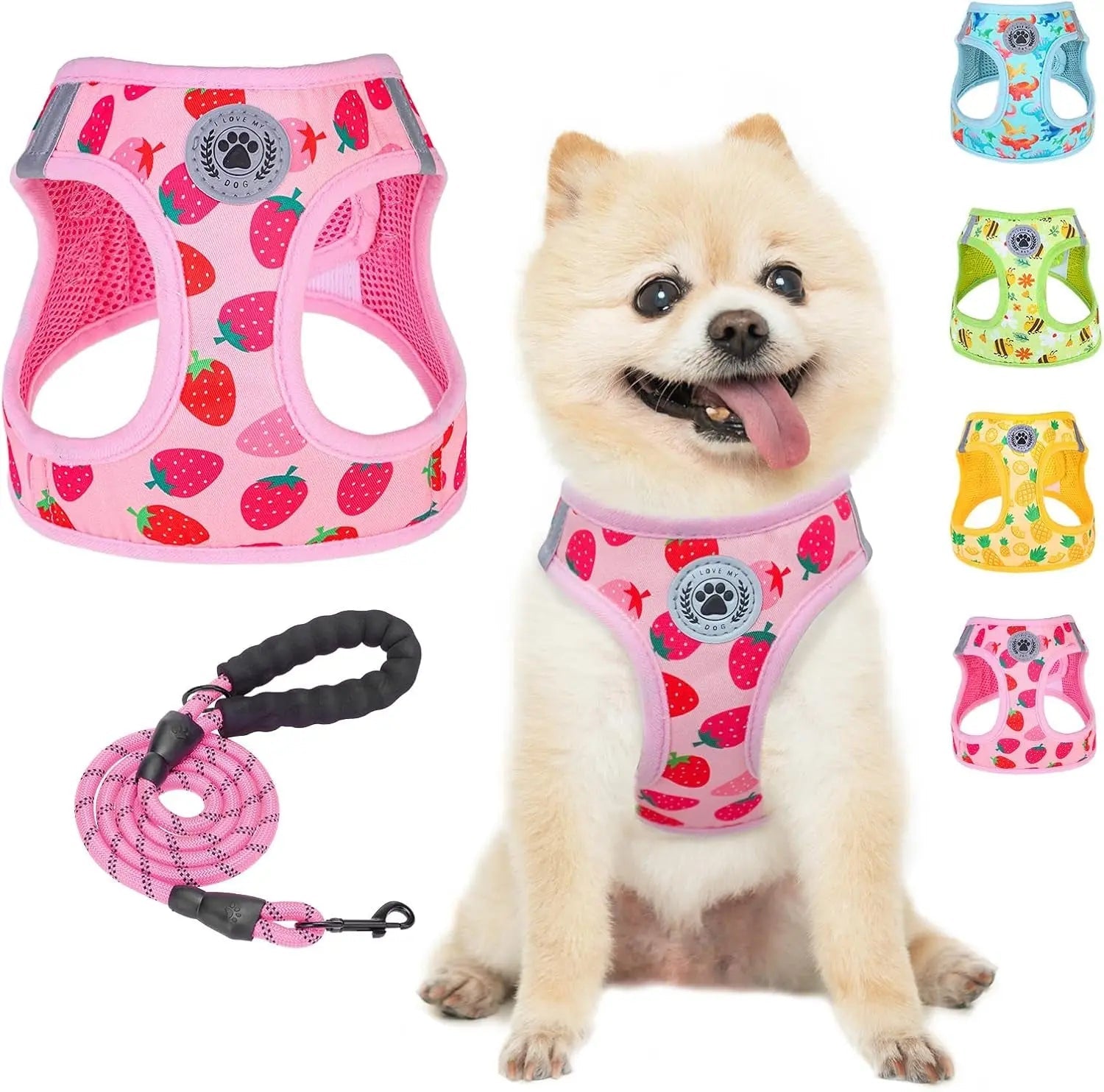 Pink strawberry step-in dog harness with breathable mesh and matching pink coiled leash set