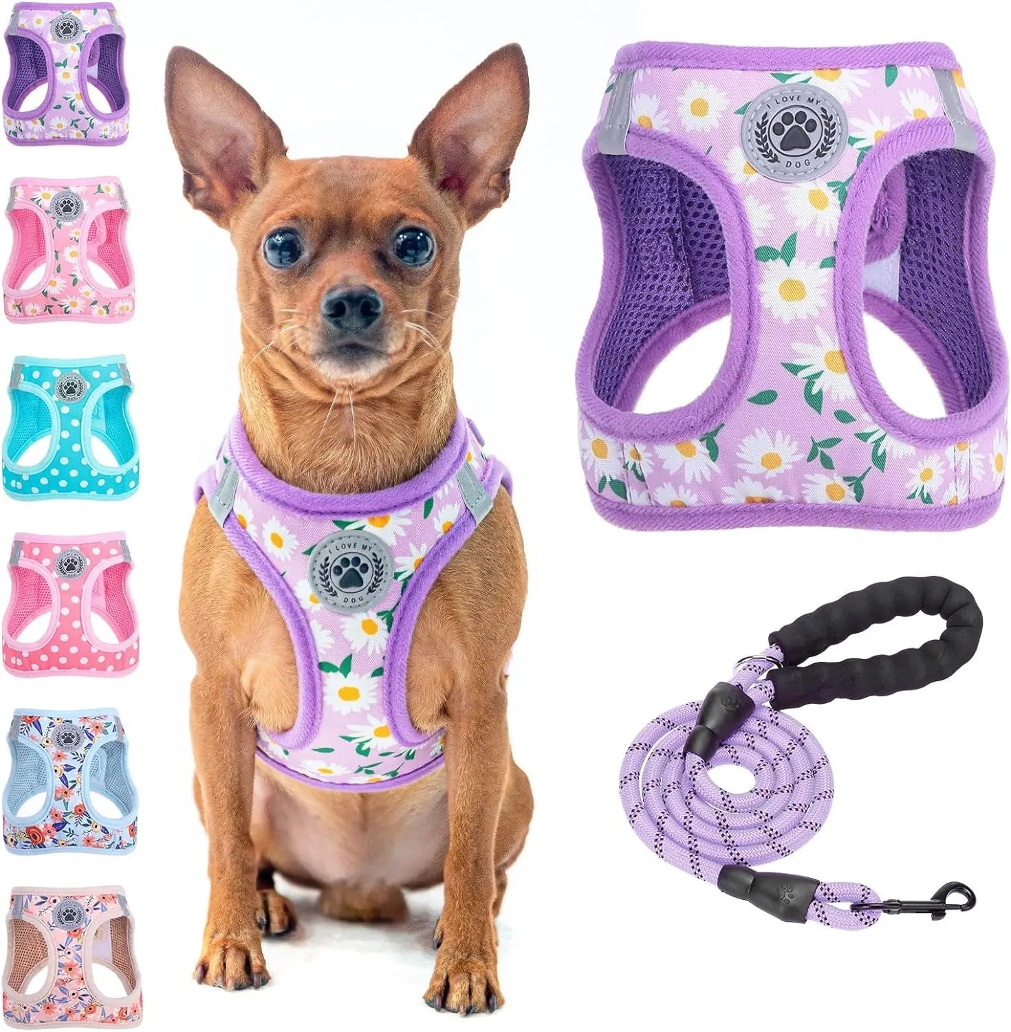 Purple daisy step-in dog harness with breathable mesh and matching purple coiled leash set