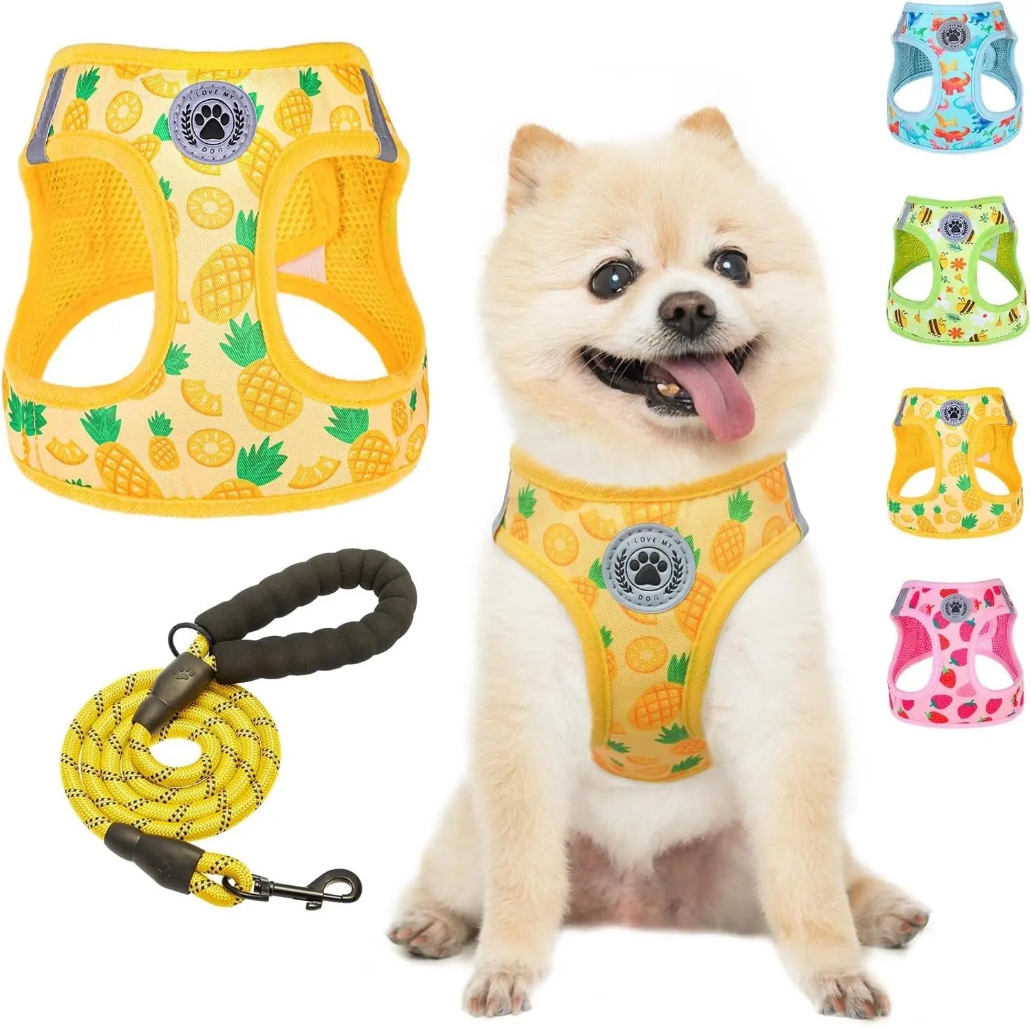 Dog harness and leash set, yellow pineapple print mesh step-in with matching rope leash