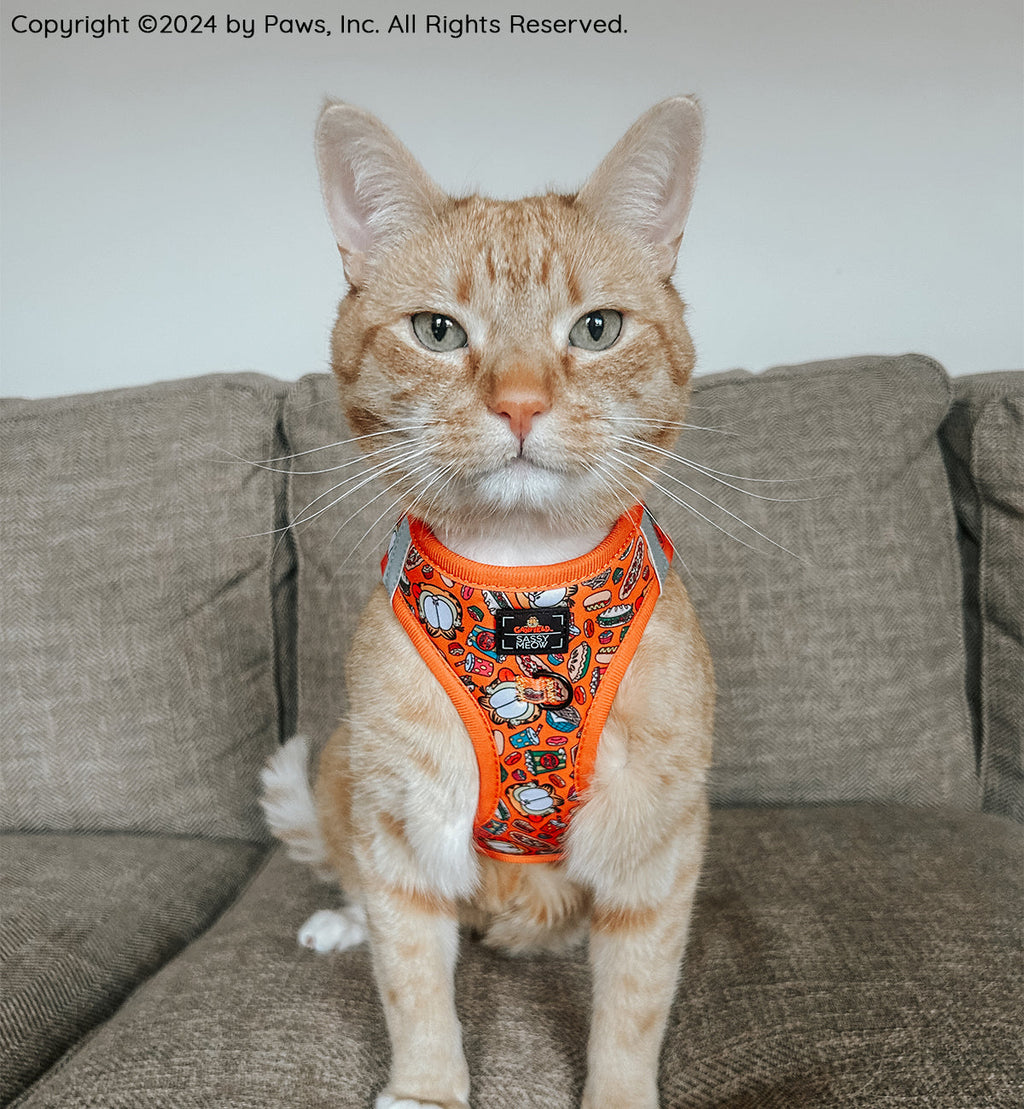 Cat step-in harness in orange with comic-style print and front logo patch