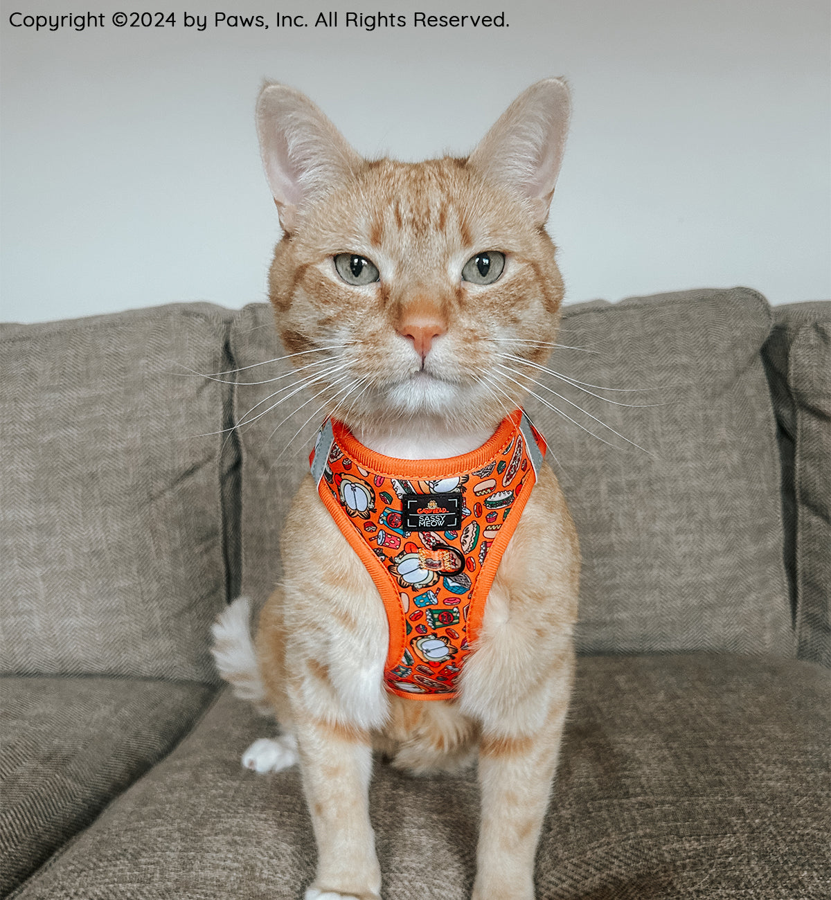 Cat step-in harness in orange with comic-style print and front logo patch